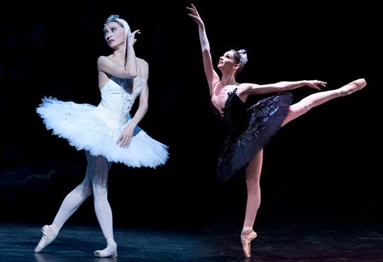Lesson Swan Lake - Dance Ballet